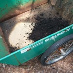 Soil mixed in the wheelbarrow https://ourfairfieldhomeandgarden.com/upcyclerecycle-project-creating-a-succulent-garden-birdbath/