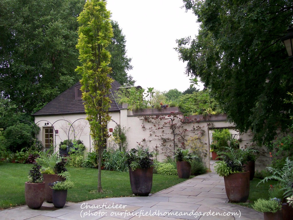 https://ourfairfieldhomeandgarden.com/inspiring-gardens/chanticleer/