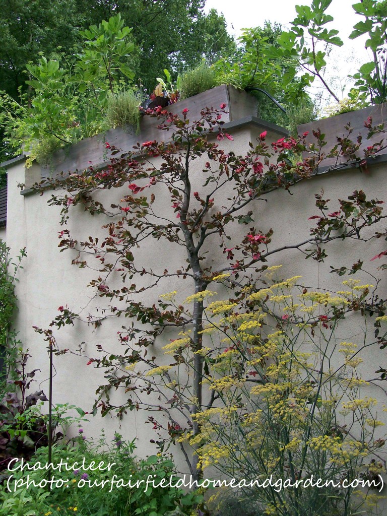 https://ourfairfieldhomeandgarden.com/inspiring-gardens/chanticleer/