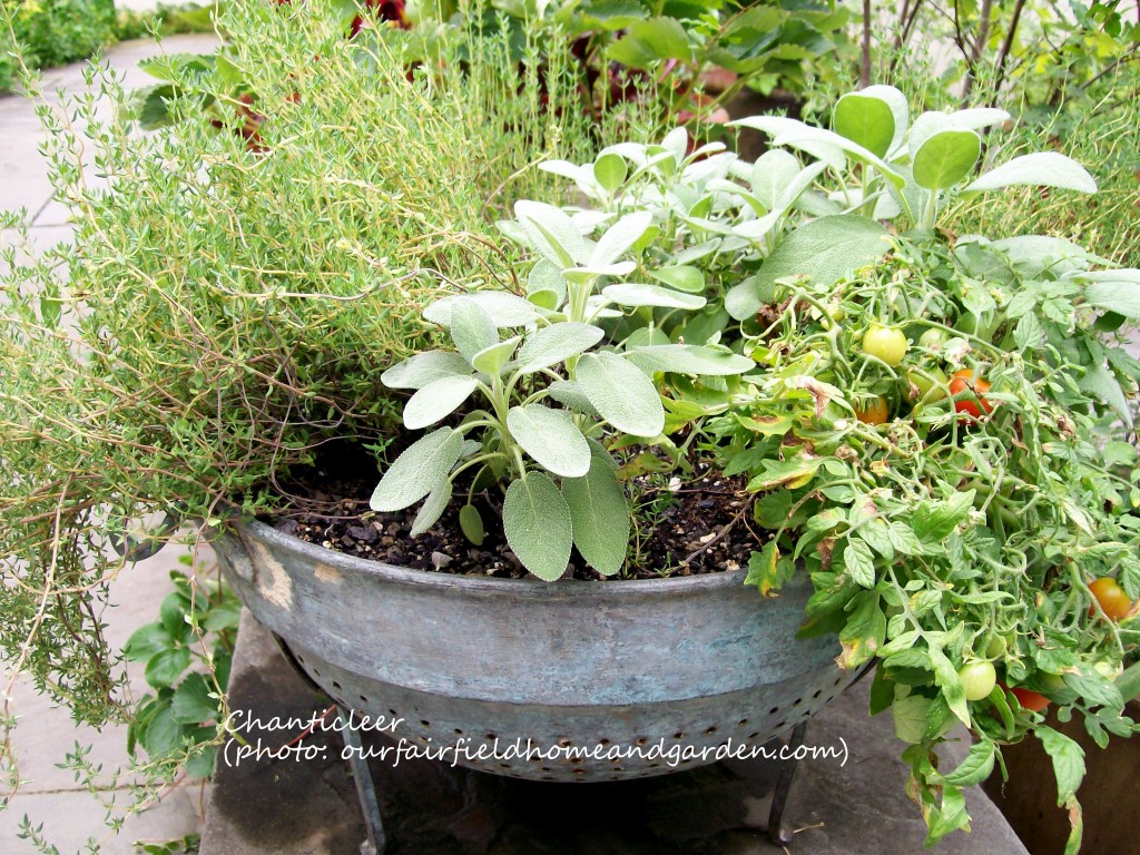 https://ourfairfieldhomeandgarden.com/inspiring-gardens/chanticleer/