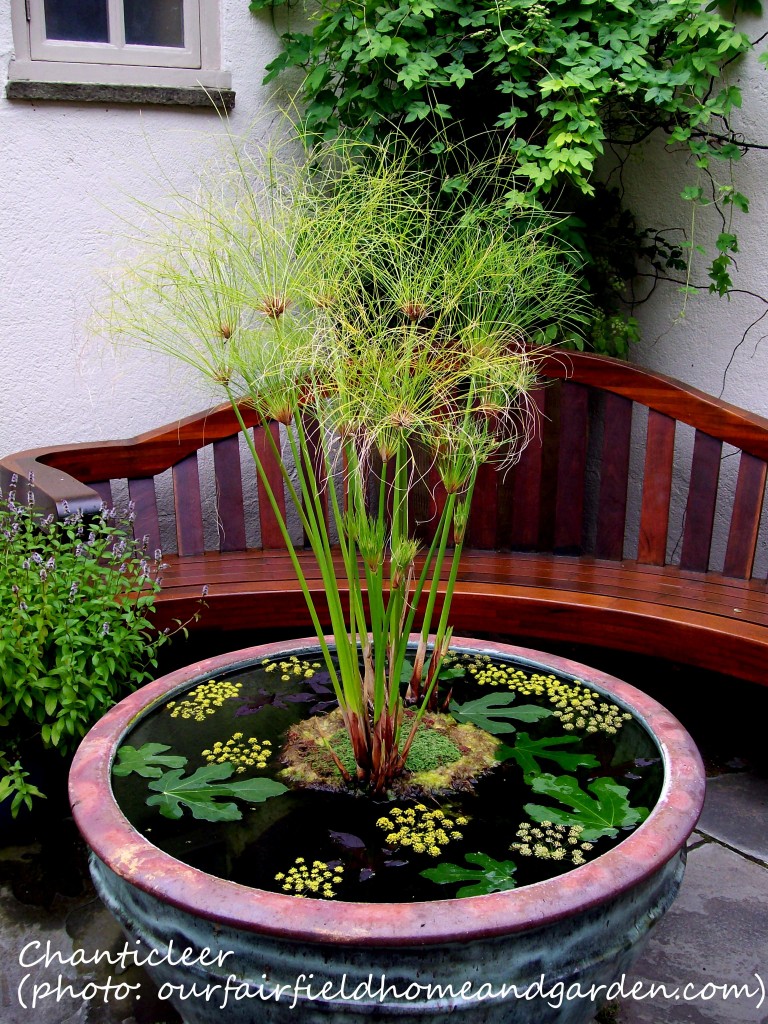 https://ourfairfieldhomeandgarden.com/inspiring-gardens/chanticleer/