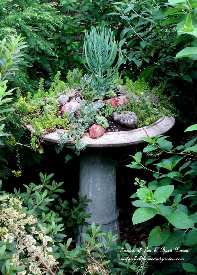 Succulent Birdbath https://ourfairfieldhomeandgarden.com/upcyclerecycle-project-creating-a-succulent-garden-birdbath/