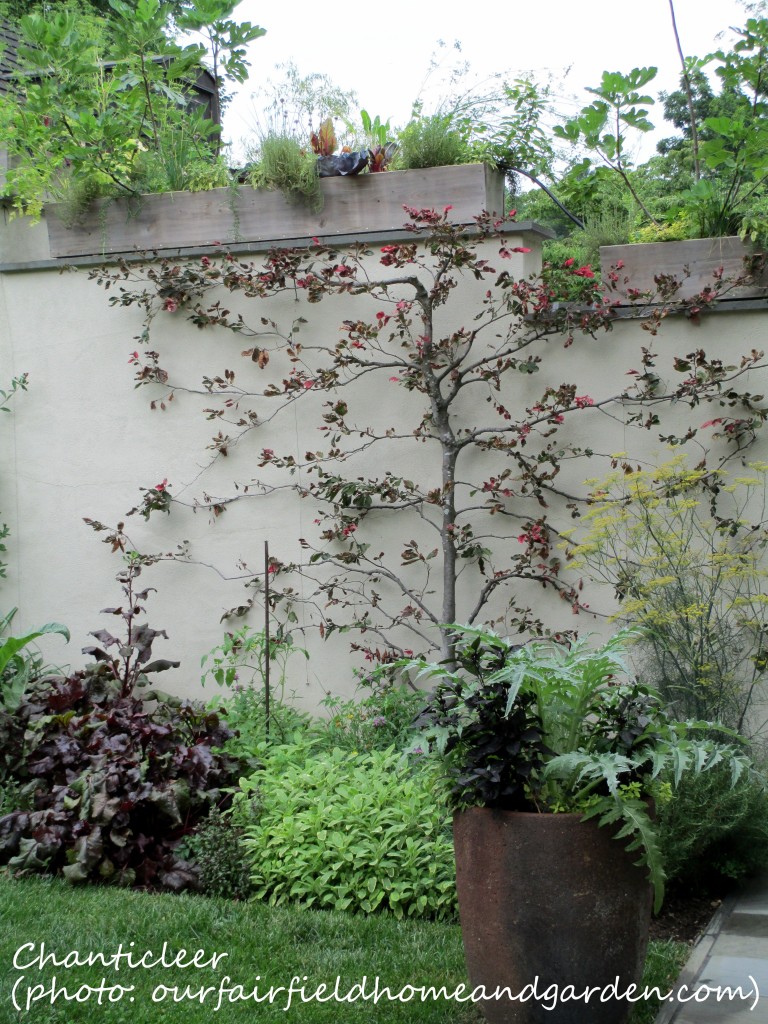 https://ourfairfieldhomeandgarden.com/inspiring-gardens/chanticleer/