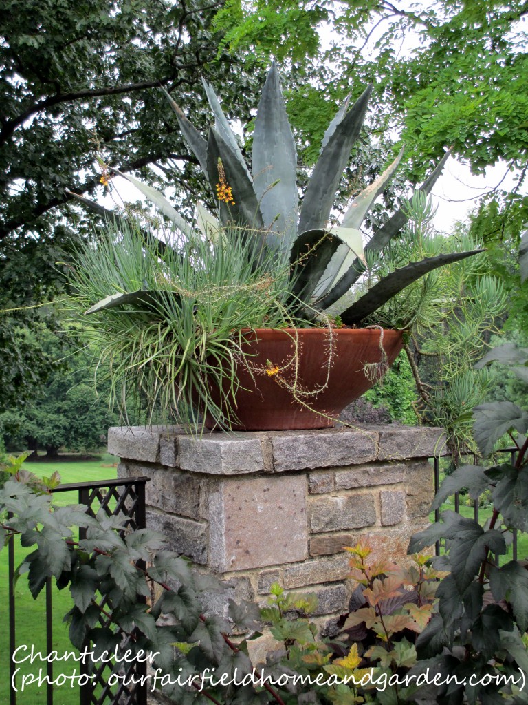 https://ourfairfieldhomeandgarden.com/inspiring-gardens/chanticleer/