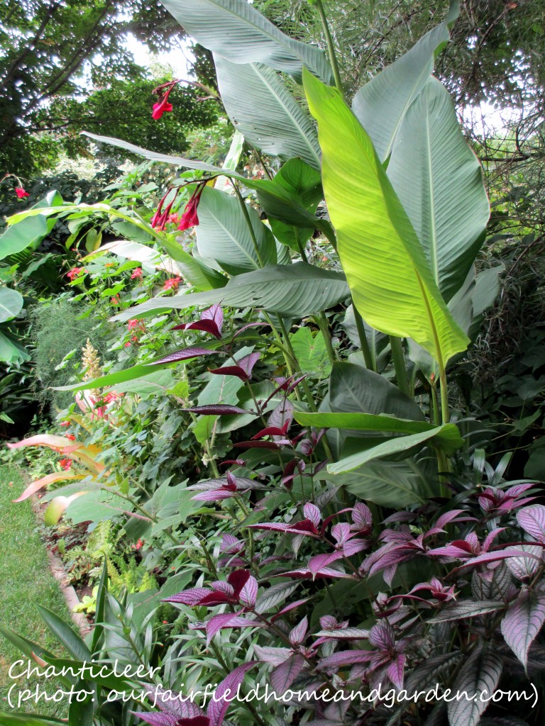 https://ourfairfieldhomeandgarden.com/inspiring-gardens/chanticleer/