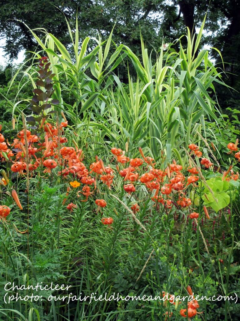 https://ourfairfieldhomeandgarden.com/inspiring-gardens/chanticleer/