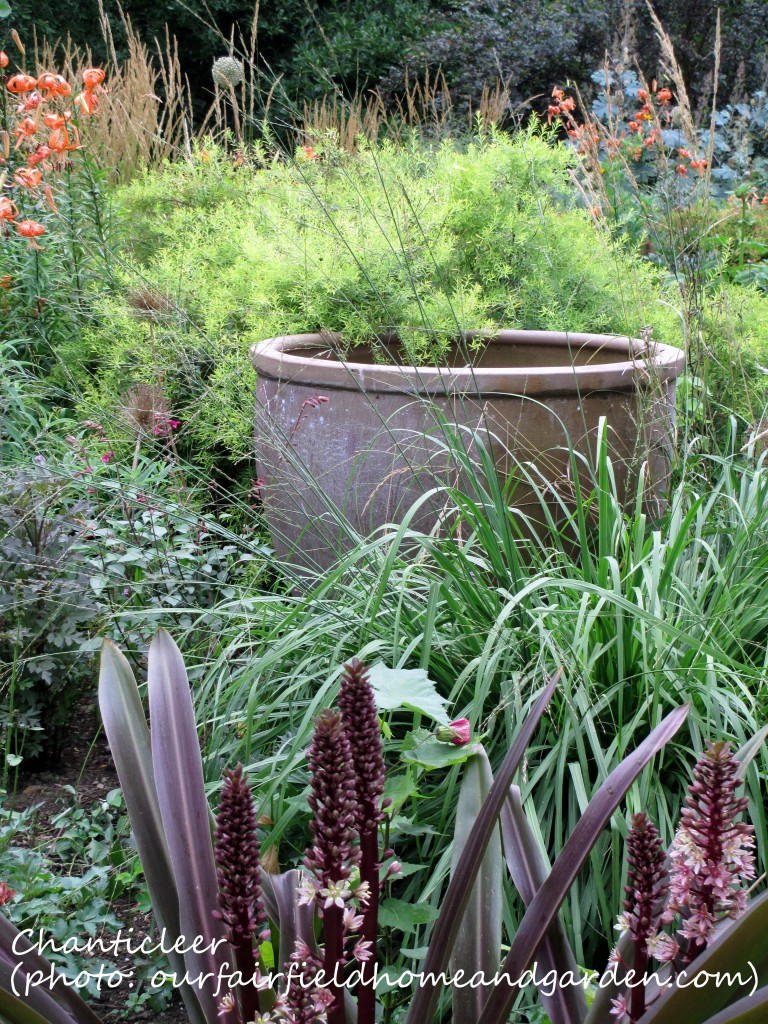 https://ourfairfieldhomeandgarden.com/inspiring-gardens/chanticleer/