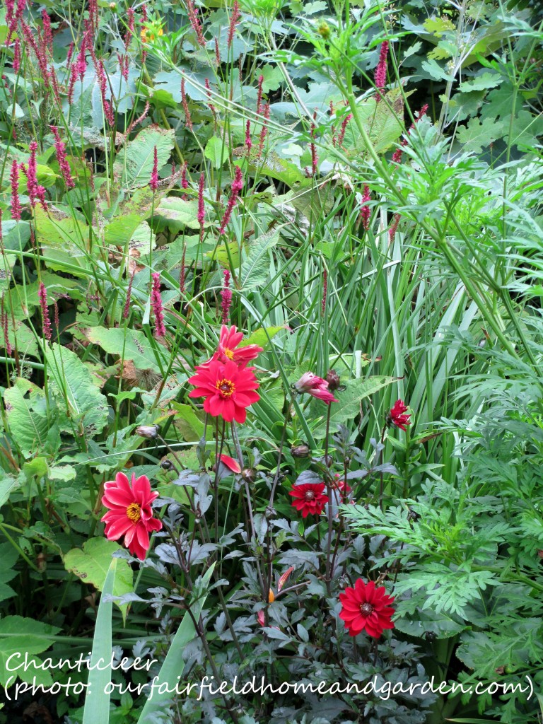https://ourfairfieldhomeandgarden.com/inspiring-gardens/chanticleer/