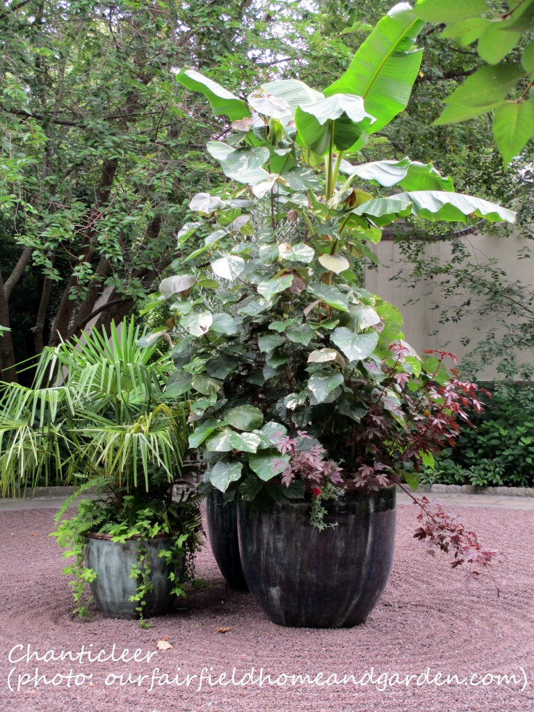 https://ourfairfieldhomeandgarden.com/inspiring-gardens/chanticleer/