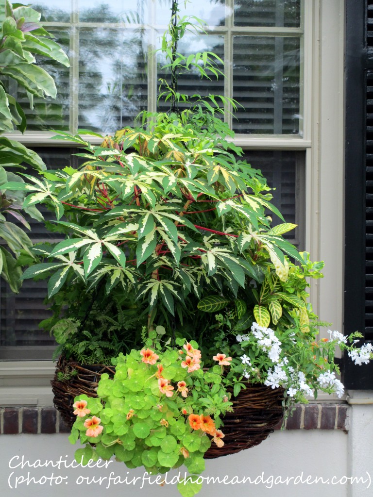 https://ourfairfieldhomeandgarden.com/inspiring-gardens/chanticleer/