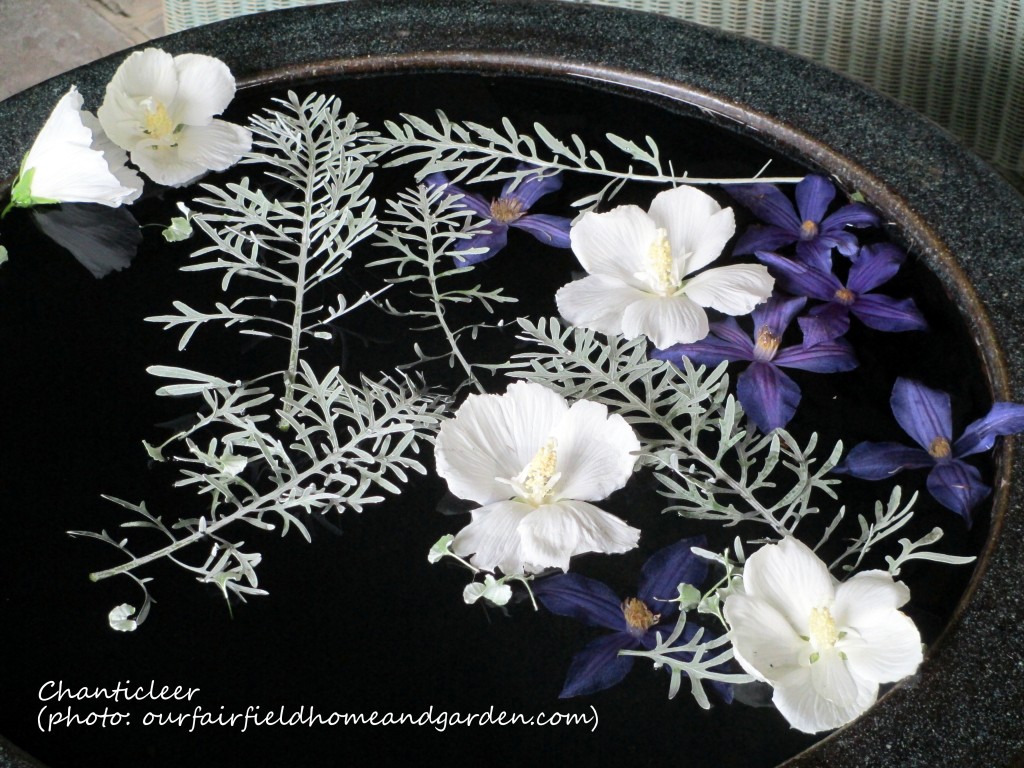 https://ourfairfieldhomeandgarden.com/inspiring-gardens/chanticleer/