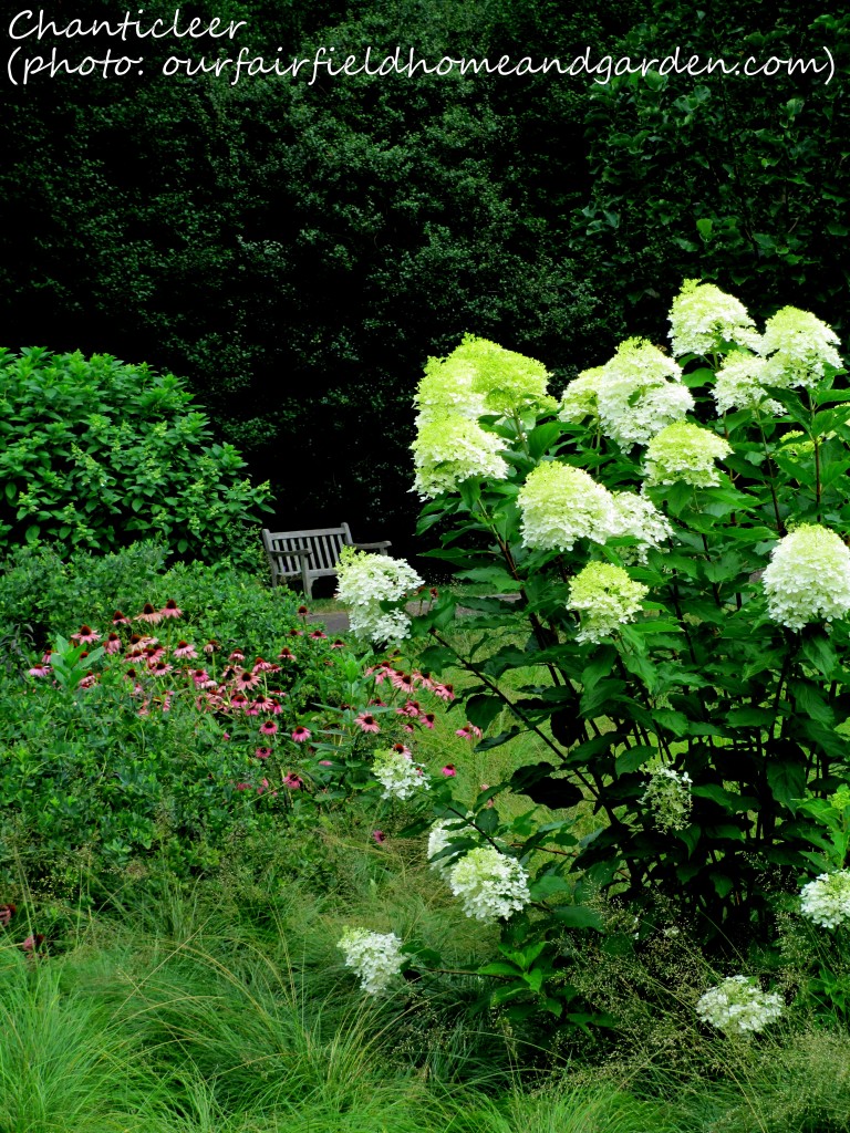 https://ourfairfieldhomeandgarden.com/inspiring-gardens/chanticleer/