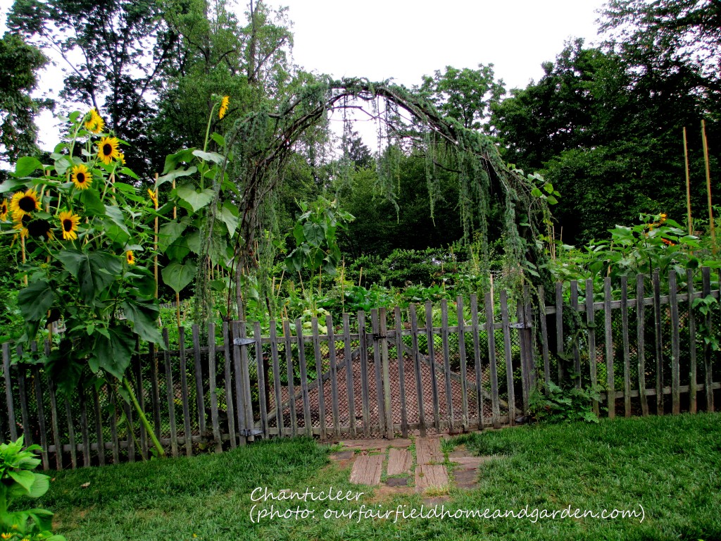 https://ourfairfieldhomeandgarden.com/inspiring-gardens/chanticleer/