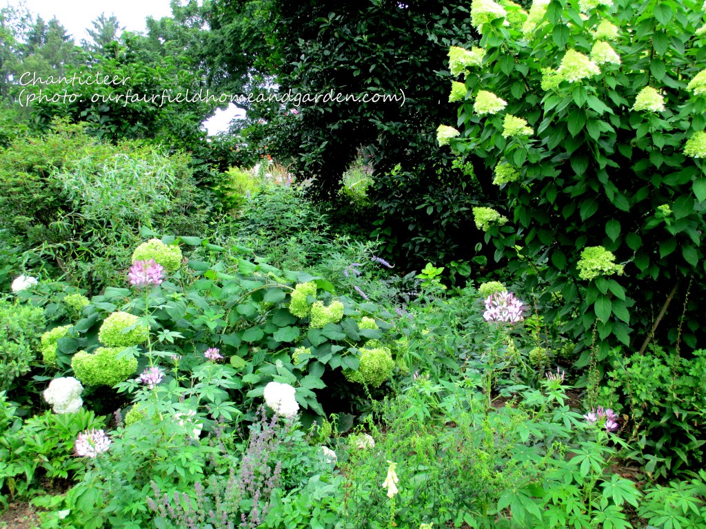 https://ourfairfieldhomeandgarden.com/inspiring-gardens/chanticleer/