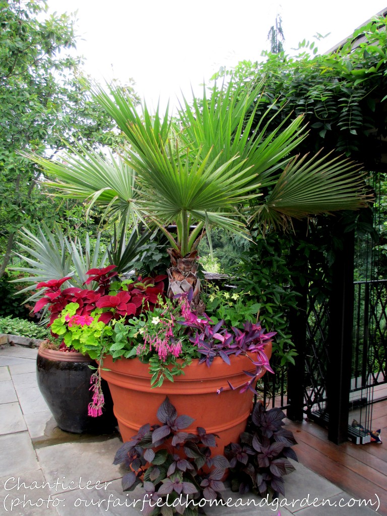 https://ourfairfieldhomeandgarden.com/inspiring-gardens/chanticleer/