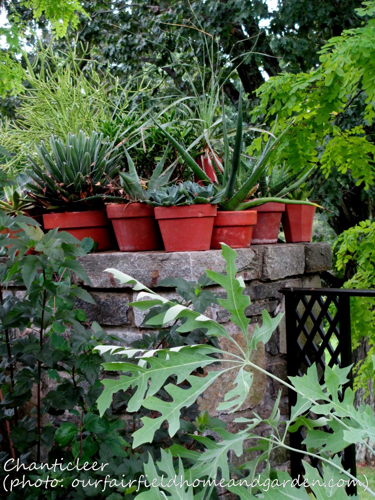 https://ourfairfieldhomeandgarden.com/inspiring-gardens/chanticleer/