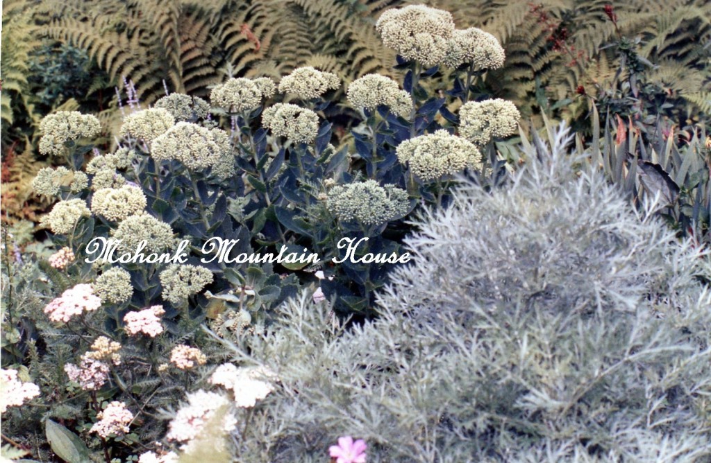 Mohonk https://ourfairfieldhomeandgarden.com/inspiring-gardens/mohonk/