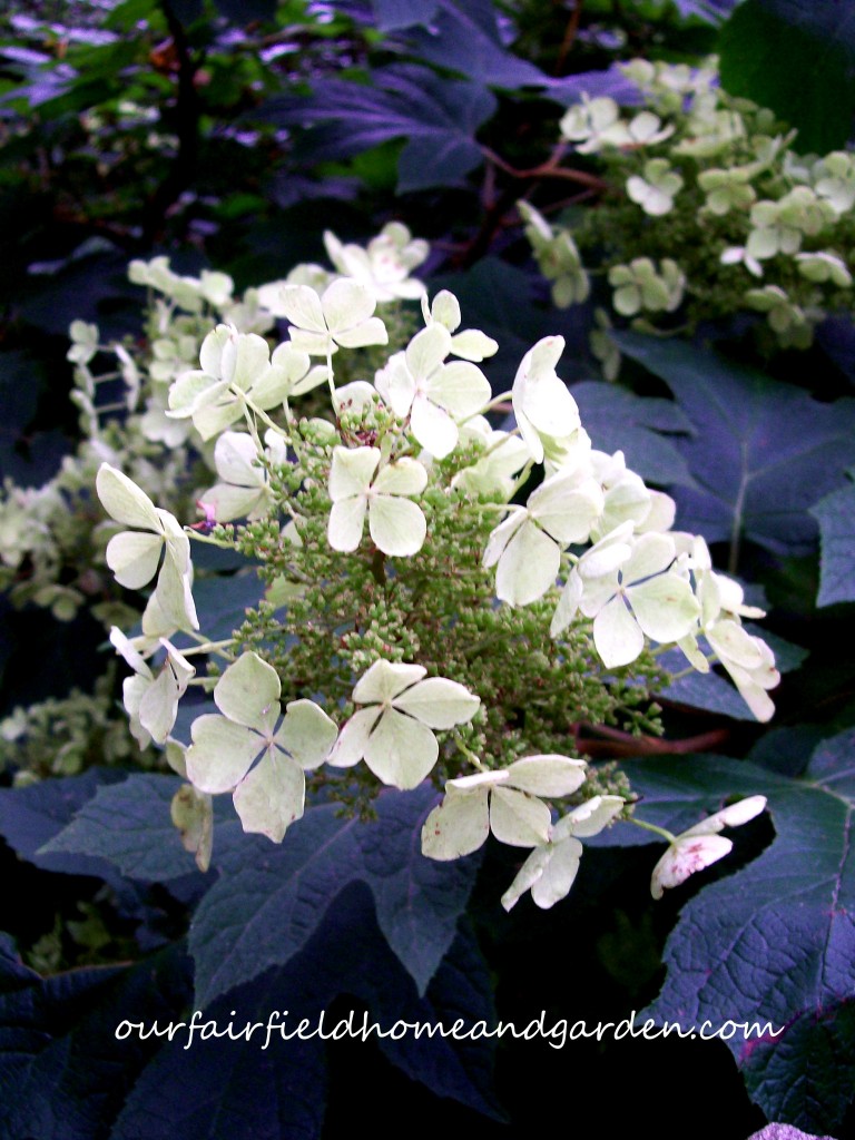 https://ourfairfieldhomeandgarden.com/inspiring-gardens/winterthur/