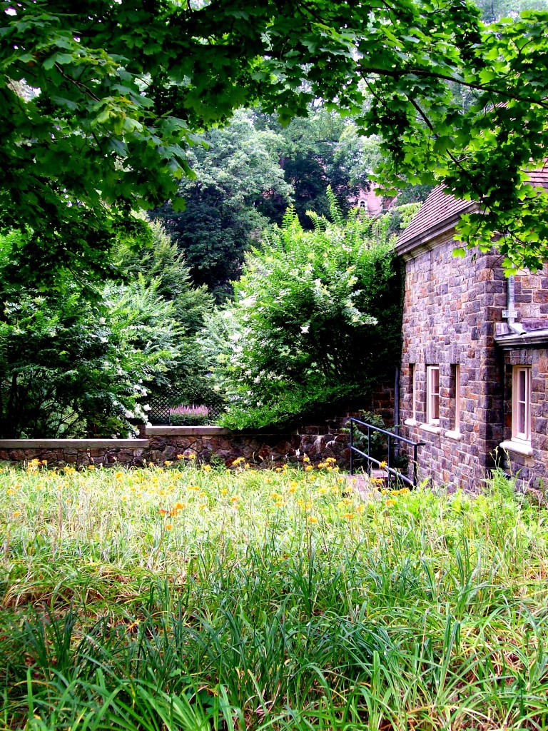 https://ourfairfieldhomeandgarden.com/inspiring-gardens/winterthur/