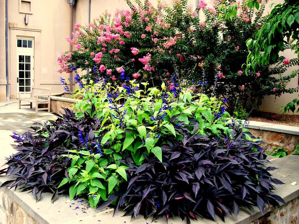https://ourfairfieldhomeandgarden.com/inspiring-gardens/winterthur/