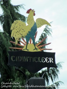 Chanticleer https://ourfairfieldhomeandgarden.com/field-trip-the-unusual-and-romantic-gardens-of-chanticleer/