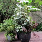 Chanticleer https://ourfairfieldhomeandgarden.com/field-trip-the-unusual-and-romantic-gardens-of-chanticleer/