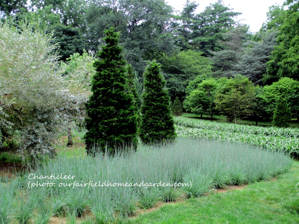 Chanticleer https://ourfairfieldhomeandgarden.com/field-trip-the-unusual-and-romantic-gardens-of-chanticleer/