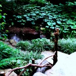 Chanticleer https://ourfairfieldhomeandgarden.com/field-trip-the-unusual-and-romantic-gardens-of-chanticleer/