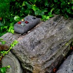 Chanticleer https://ourfairfieldhomeandgarden.com/field-trip-the-unusual-and-romantic-gardens-of-chanticleer/