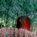 Chanticleer https://ourfairfieldhomeandgarden.com/field-trip-the-unusual-and-romantic-gardens-of-chanticleer/