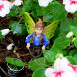 https://ourfairfieldhomeandgarden.com/diy-project-create-your-own-fairy-terrarium/
