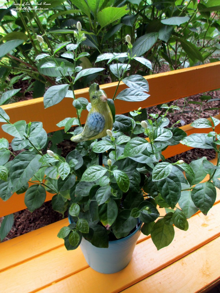 plant pokes https://ourfairfieldhomeandgarden.com/diy-project-plant-pokes-from-vintage-salt-pepper-shakers/