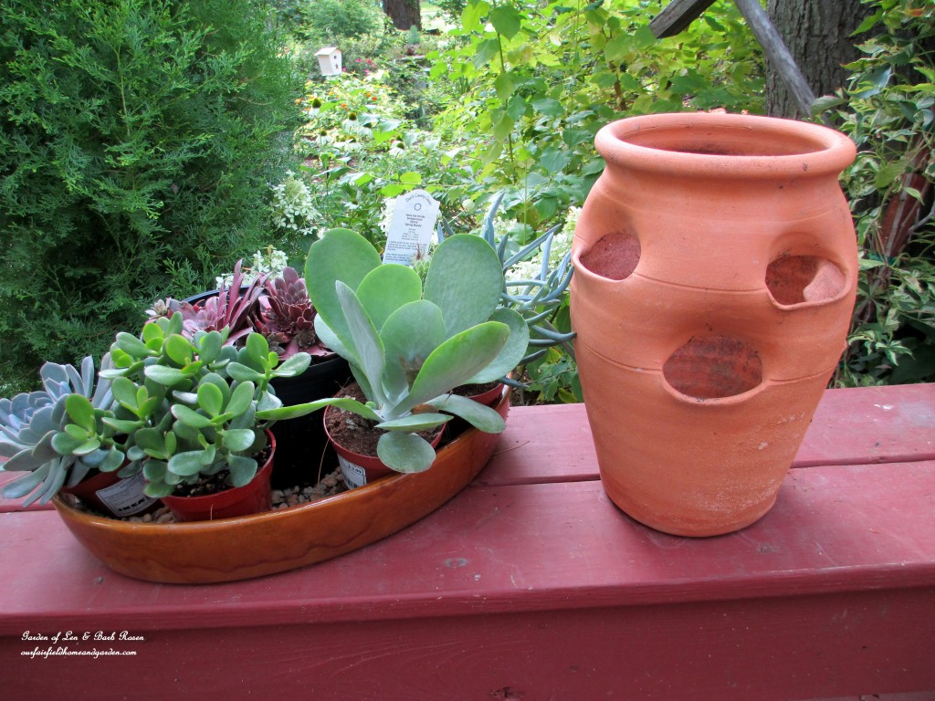 succulent strawberry pot https://ourfairfieldhomeandgarden.com/diy-project-succulent-planter-pot/