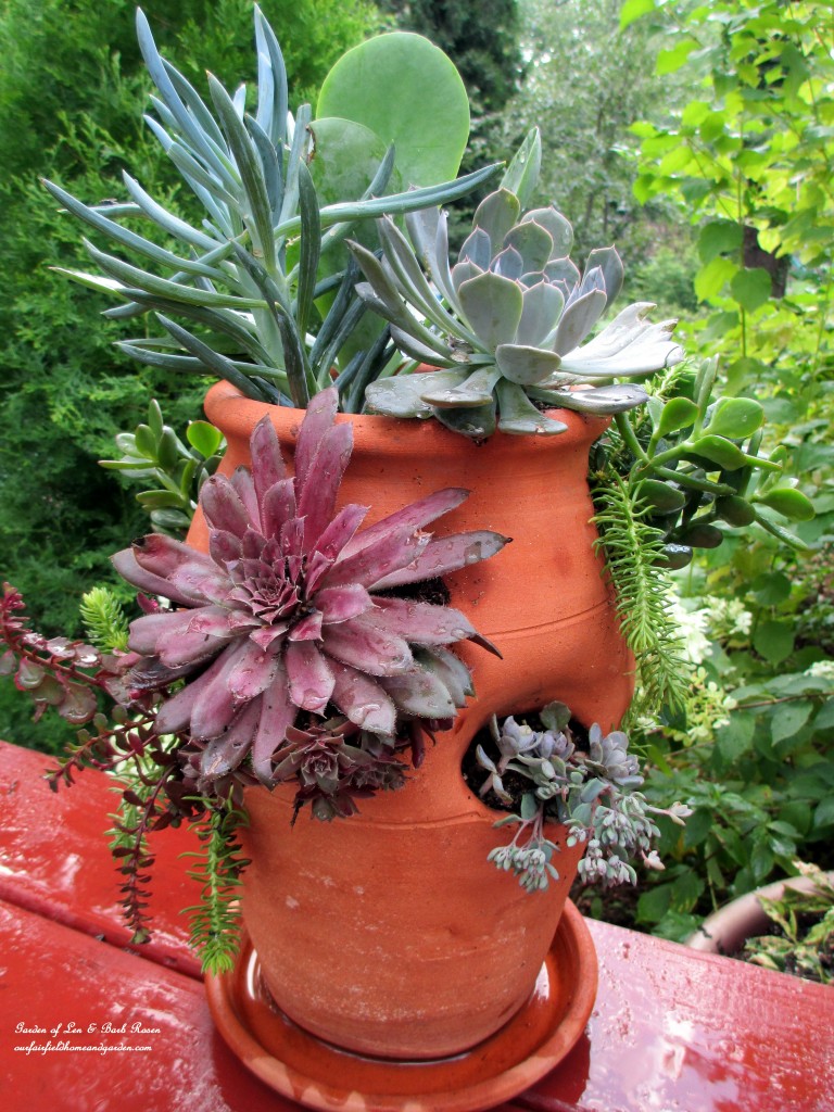 succulent strawberry pot https://ourfairfieldhomeandgarden.com/diy-project-succulent-planter-pot/