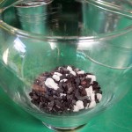 https://ourfairfieldhomeandgarden.com/diy-project-create-your-own-fairy-terrarium/