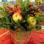 https://ourfairfieldhomeandgarden.com/diy-project-arrange-your-own-fall-apple-harvest-basket/