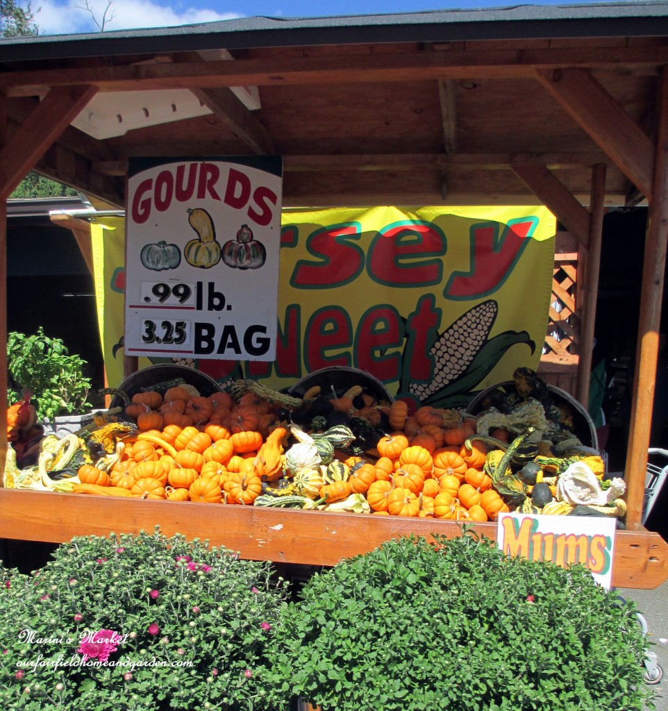 Fall Market https://ourfairfieldhomeandgarden.com/field-trip-gourds-galore-and-norman-the-pot-bellied-pig-at-marinis-market/