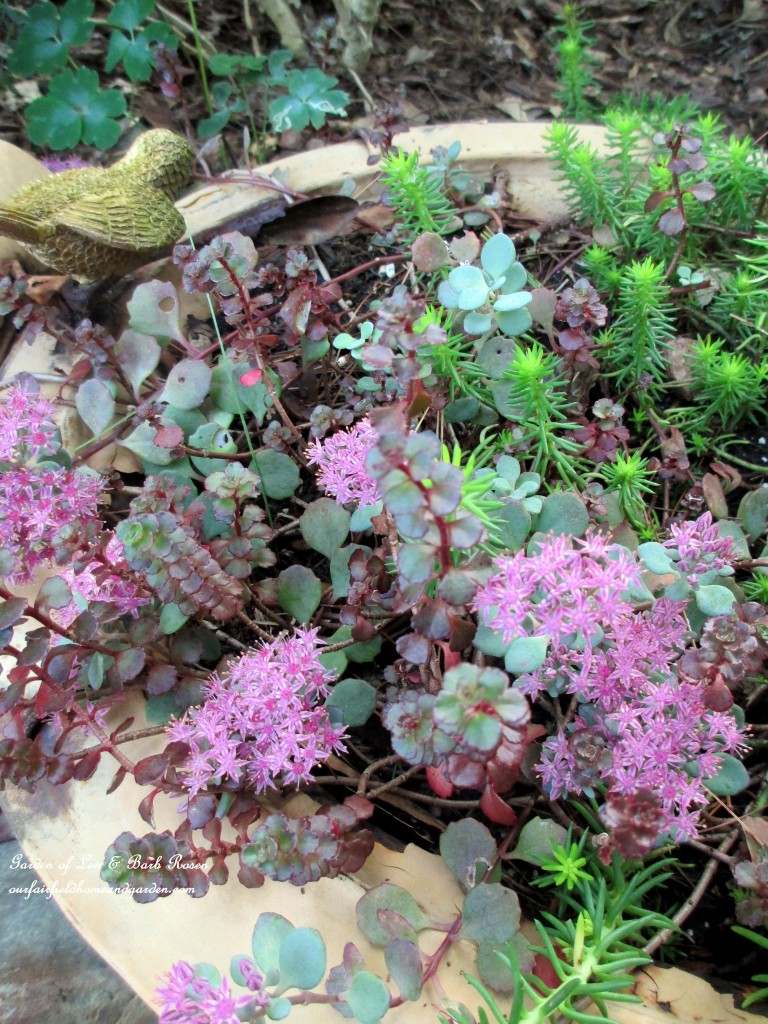https://ourfairfieldhomeandgarden.com/our-fairfield-home-garden-welcomes-fall/