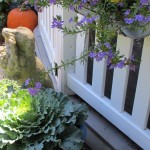 https://ourfairfieldhomeandgarden.com/our-fairfield-home-garden-welcomes-fall/