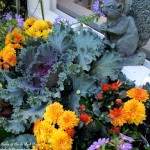 https://ourfairfieldhomeandgarden.com/our-fairfield-home-garden-welcomes-fall/