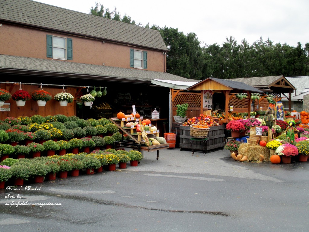 Marini's Market In Fall https://ourfairfieldhomeandgarden.com/field-trip-gourds-galore-and-norman-the-pot-bellied-pig-at-marinis-market/