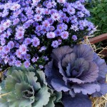 https://ourfairfieldhomeandgarden.com/our-fairfield-home-garden-welcomes-fall/
