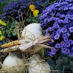 https://ourfairfieldhomeandgarden.com/our-fairfield-home-garden-welcomes-fall/