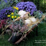 https://ourfairfieldhomeandgarden.com/our-fairfield-home-garden-welcomes-fall/