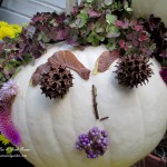 Helen Hydrangea Punkin' Head https://ourfairfieldhomeandgarden.com/getting-into-the-spirit-of-halloween-insert-spooky-music-here/