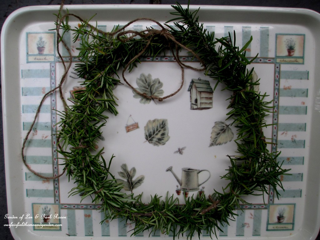 Make a Rosemary Wreath https://ourfairfieldhomeandgarden.com/diy-project-make-a-fresh-rosemary-wreath/