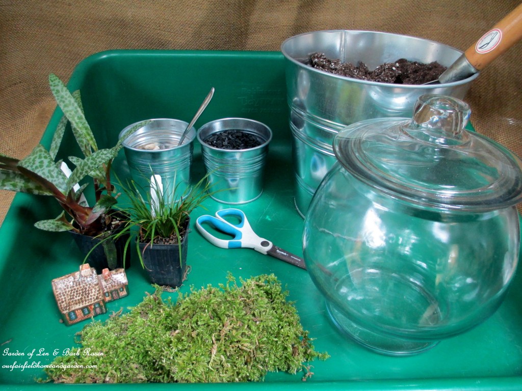 IMG_1764 Terrarium DIY https://ourfairfieldhomeandgarden.com/diy-project-design-a-rustic-cottage-getaway-in-a-terrarium/
