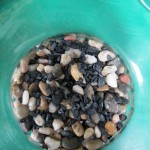 Terrarium DIY https://ourfairfieldhomeandgarden.com/diy-project-design-a-rustic-cottage-getaway-in-a-terrarium/
