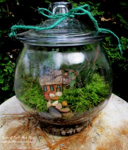 Terrarium DIY https://ourfairfieldhomeandgarden.com/diy-project-design-a-rustic-cottage-getaway-in-a-terrarium/