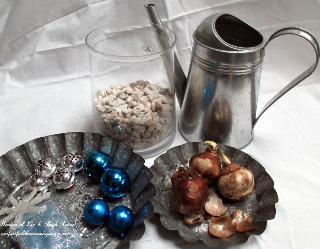 forcing bulbs forcing bulbs https://ourfairfieldhomeandgarden.com/diy-project-save-money-by-creating-your-own-fancy-potted-paperwhites-amaryllis-bulb-gardens-as-holiday-gifts-or-decorations/